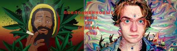 ПСИЛОЦИБИНОВЫЕ ГРИБЫ Абдулино