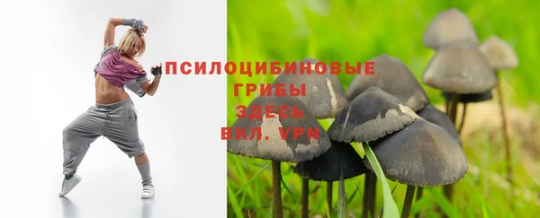 ПСИЛОЦИБИНОВЫЕ ГРИБЫ Абдулино