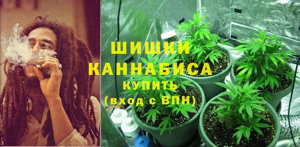 ПСИЛОЦИБИНОВЫЕ ГРИБЫ Абдулино