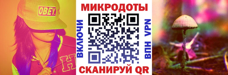 Галлюциногенные грибы MAGIC MUSHROOMS  ОМГ ОМГ как зайти  Майский 